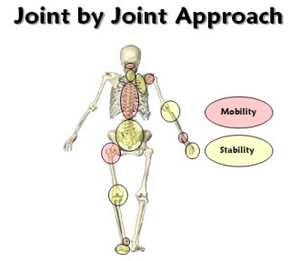 Joint by Joint Approach